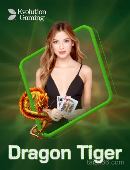 Evolution Dragon Tiger